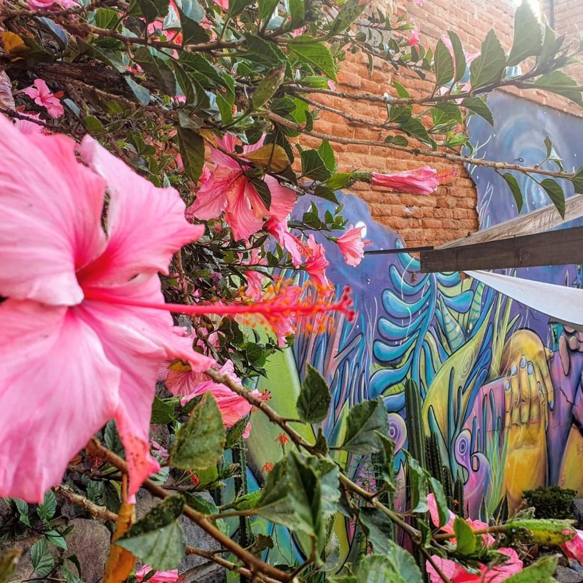 La Casa Piola Hostel Valparaiso Luaran gambar
