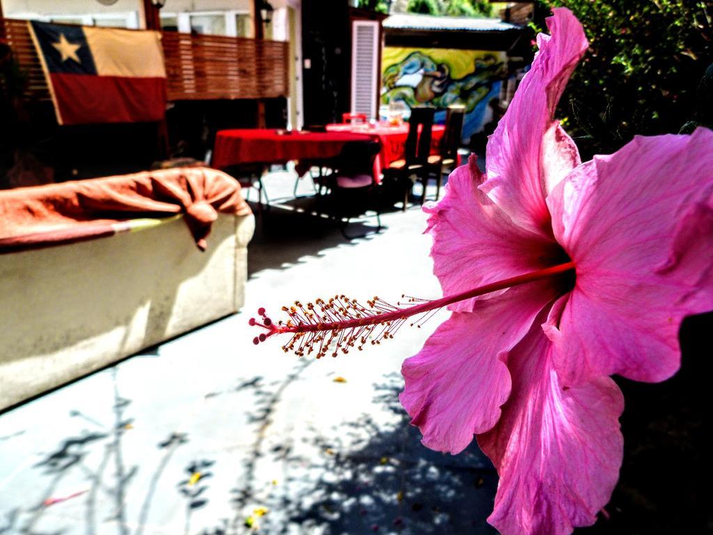 La Casa Piola Hostel Valparaiso Luaran gambar